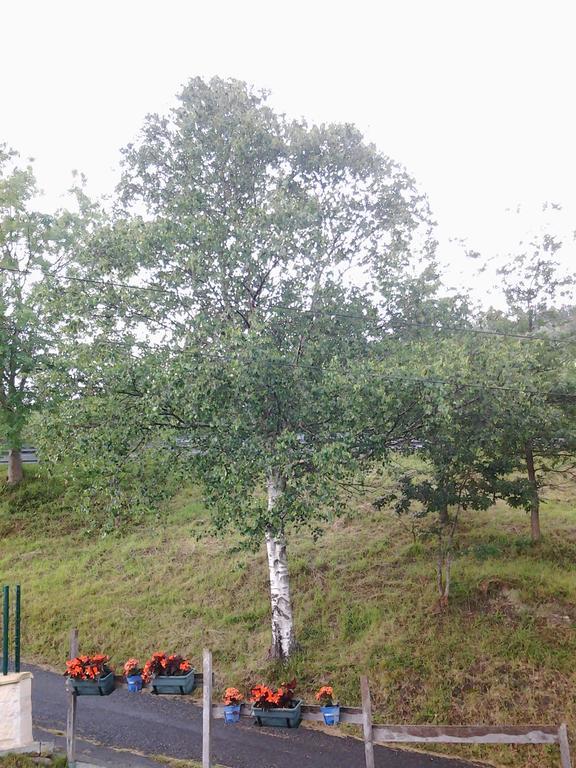 Casa Rural Ecologica Arrizurieta Бермео Экстерьер фото