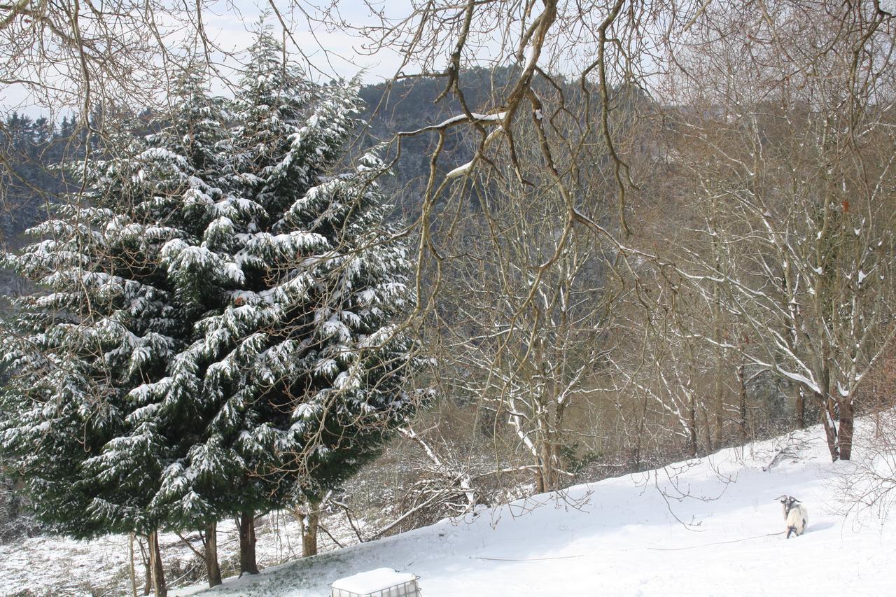Casa Rural Ecologica Arrizurieta Бермео Экстерьер фото